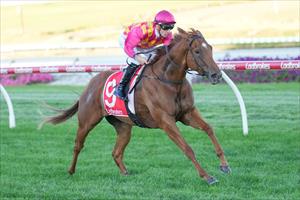 Sparkling, Cranbourne Jan 2024